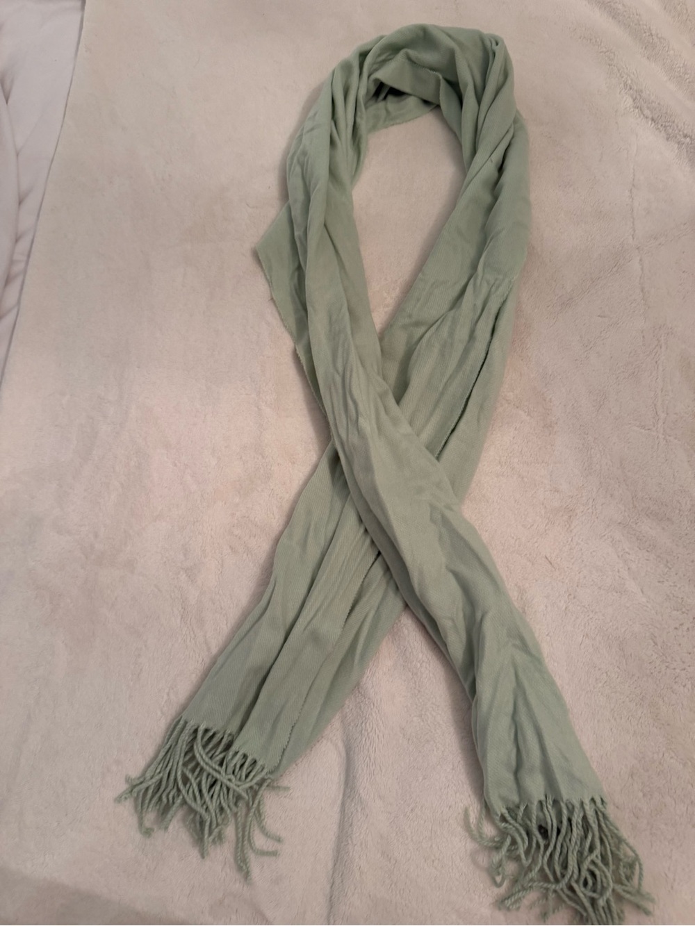 Light Sage Green Women's Fringe Scarf - Indigo